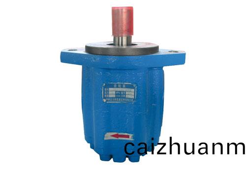 502005 CBQK5高性能齿轮泵(beng)
