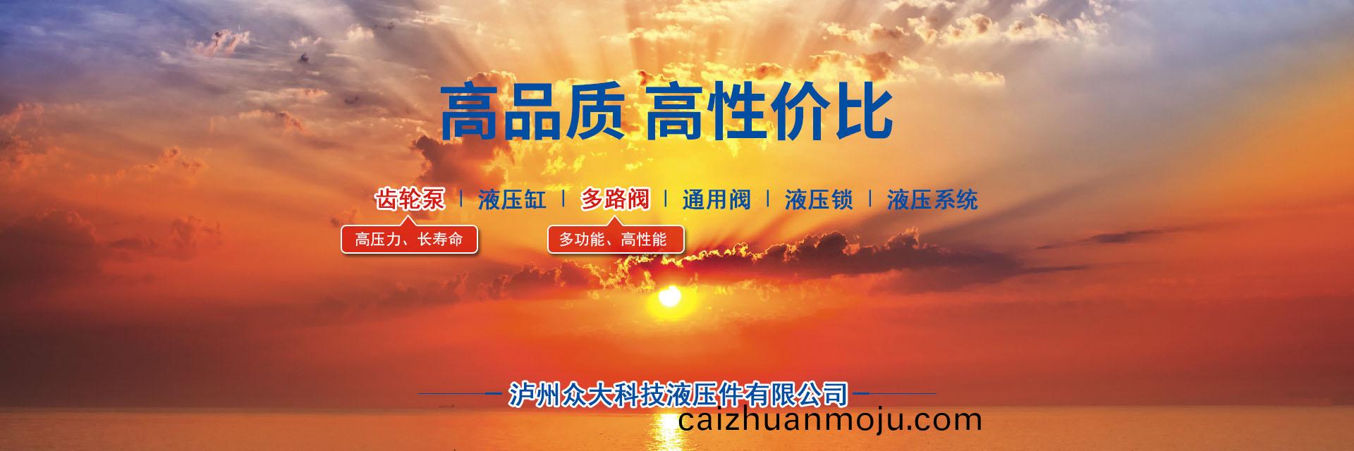 油缸(gang),齿轮(lun)泵(beng),多路(lu)阀(fa),液压(ya)锁,液压系(xi)统(tong),多(duo)路换向阀(fa),高性(xing)能多(duo)路换向(xiang)阀,多(duo)路(lu)换(huan)向(xiang)阀(fa)厂(chang)家,泸(lu)州众(zhong)大液压