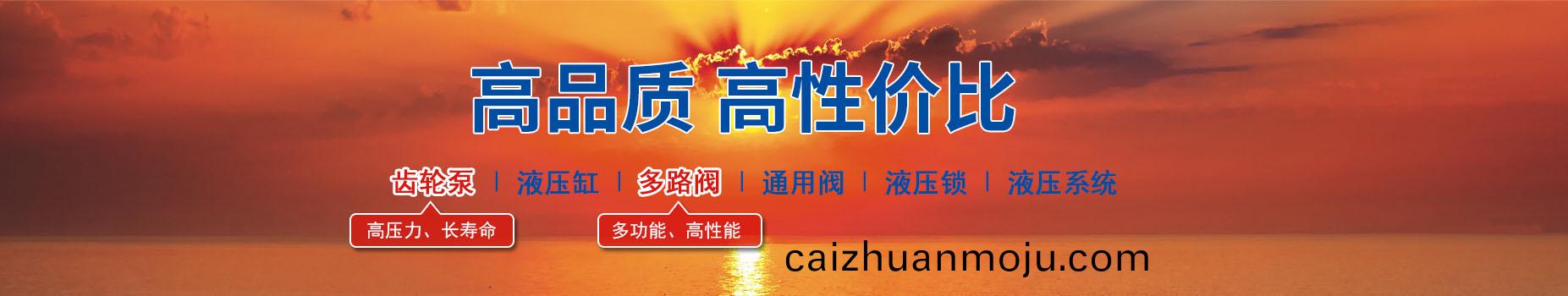 油缸,齿(chi)轮泵,多(duo)路阀(fa),液(ye)压锁,液(ye)压(ya)系(xi)统(tong),多路(lu)换(huan)向(xiang)阀(fa),高性(xing)能多路(lu)换向(xiang)阀(fa),多(duo)路换(huan)向阀厂家,泸(lu)州众大(da)液压(ya)