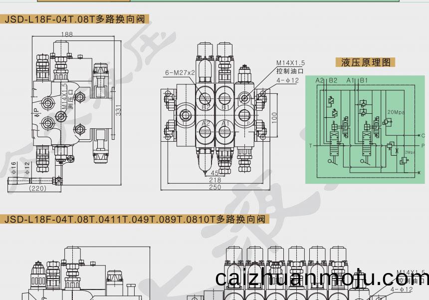 多功能(neng)多路(lu)阀